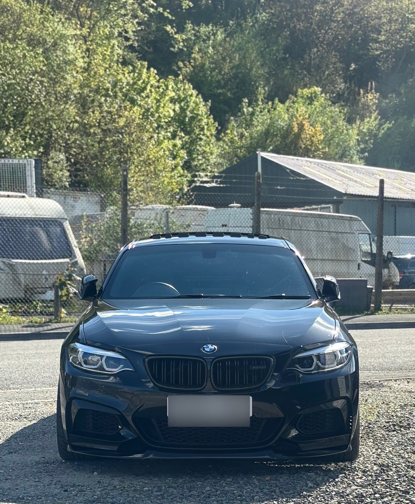 BMW 2 SERIES F22 CANARDS ( CARBON FIBRE )